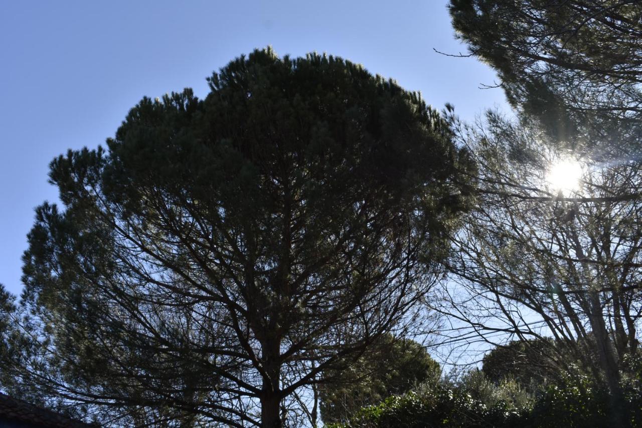 La Casa De Lya Βίλα Dudar Εξωτερικό φωτογραφία